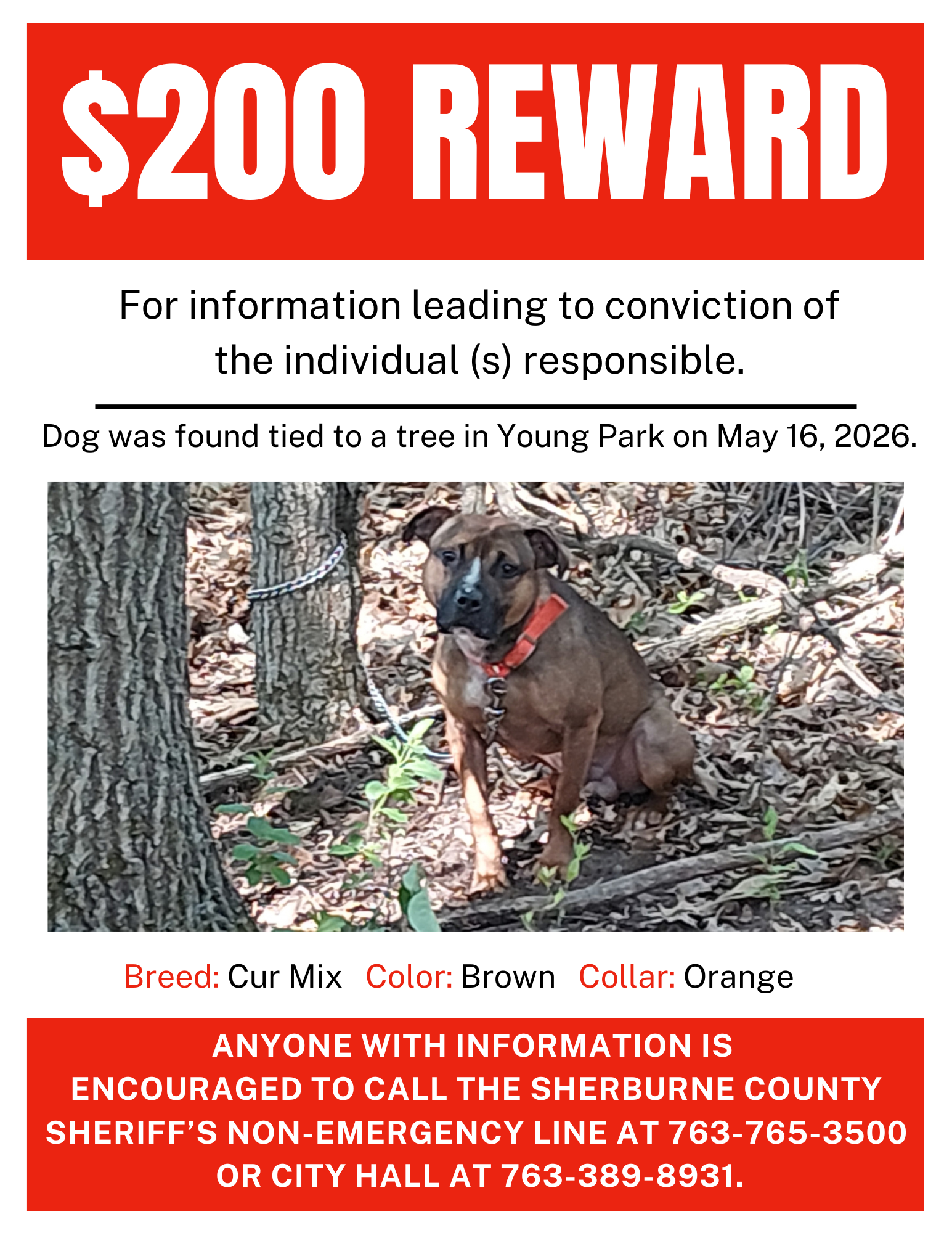 Found Dog Ad Flyer - $200